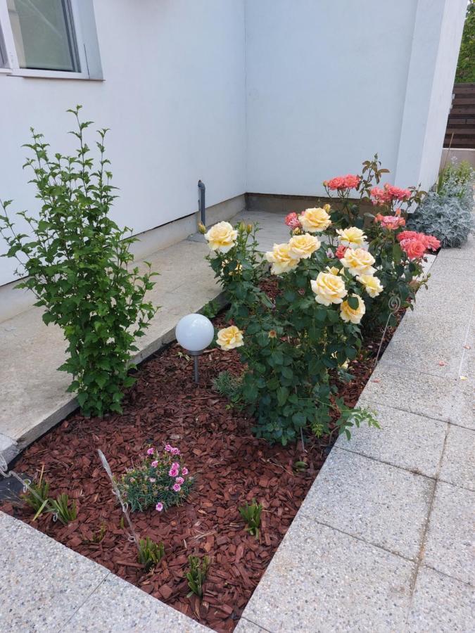 Vila Onix Săcueni Eksteriør bilde